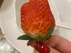 -禾斗海鲜自助(市南银座店)