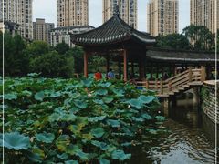 -龙头寺公园