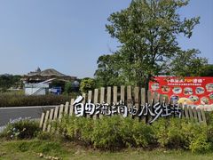 -江门古劳水乡旅游区