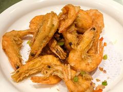 -新侨小馆(东直门北小街店)