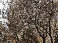 -有位虾匠·香辣蟹·小龙虾(李村店)