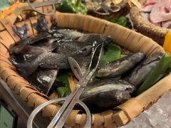 -亚龙湾希尔顿自助餐厅·海鲜·烧烤·沙滩BBQ·现场乐队