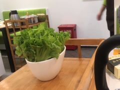 -同仁四季椰子鸡(宝安壹方城店)