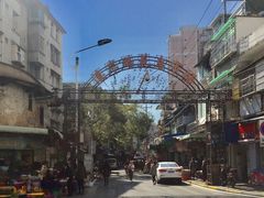 -溪岸路花鸟市场