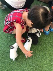 -萌宠亲子动物乐园(槐房万达店)