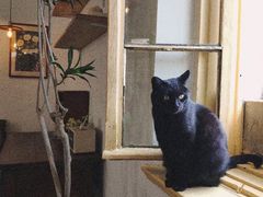 -春风十里咖啡馆