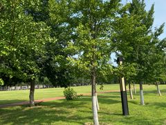 -北京国家会计学院