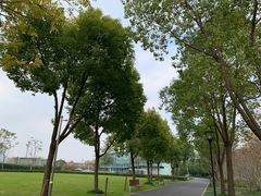 -上海山野camping·户外天幕烧烤·团建拓展营地