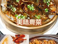 -粤凤佬