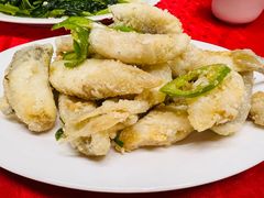 -蛇口康乐快餐鱼仔档(翠苑小区店)
