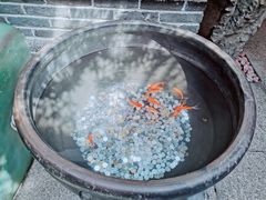 -局气烤鸭·北京菜(前门店)