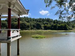 -九鲤湖风景区