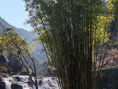 -刘伯温故里景区百丈漈