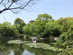 -上海吴淞炮台湾国家湿地公园