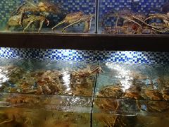 -顺德了能馆(虎门店)