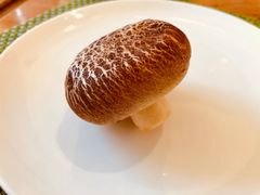 -宁波九龙湖开元度假村