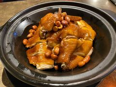 沙窝姜葱豉油鸡-食街•早茶•儿童套餐(长隆企鹅酒店)