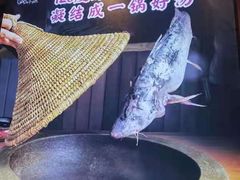 -咕嘟草帽鱼·牛奶一样的鲜鱼汤(包河万达广场创始店)