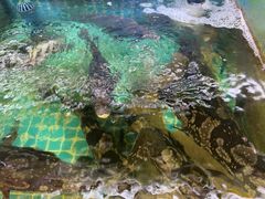 -坛南湾阿强农家乐.海鲜大排档老字号(福州地标美食店)