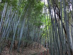 -敬亭山风景名胜区