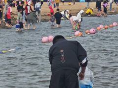 -碧海金沙
