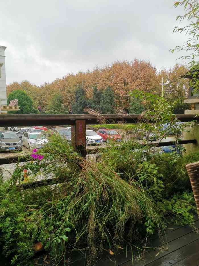 71人赞吵吵闹闹2019年6月16日打分"滇池边的川滇菜"        "辣"总会