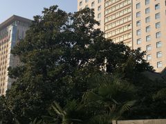 -南京钟山宾馆(江苏省会议中心)