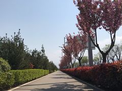 -洨河生态公园