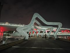 -演武大桥观景平台