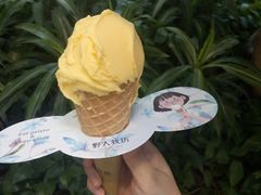 -野人先生现做冰淇淋(西安赛格店)