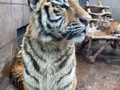 -西安秦岭野生动物园