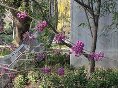 -无锡梅园公园