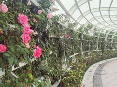 -紫荆广场·花漫里