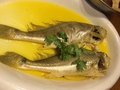 鸡汁蒸黄鱼-必点海鲜·鲅鱼水饺(鞍山西道店)