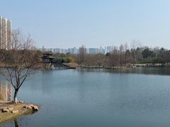 -洋湖国家湿地公园