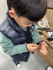 -Moni星球萌宠·小马宝莉·灵蛇·高端高阶全萌宠互动体验俱乐部(红豆国际广场店)