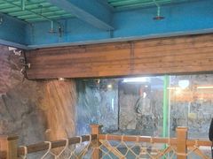 -海合安青岛极地海洋公园