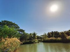 -福田红树林生态公园