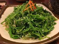 巧拌豌豆苗-火齐潮汕砂锅粥(五道口店)