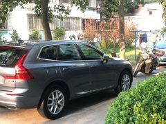 -天猫养车贴膜轻改·蓝电(优匹康桥东路店)