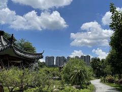 -广州神农草堂中医药博物馆