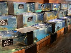 水产区-浩运海鲜·16年专注青岛菜(石老人店)