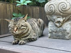 -正阳书局(西四南大街店)