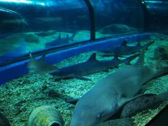 -福州罗源湾海洋世界旅游区