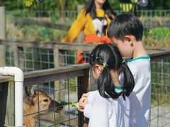 -前小桔亲子创意农场·草莓采摘·露营烧烤