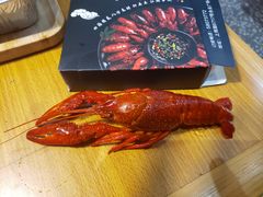 -虾弄弄海派小龙虾·牛羊蝎子火锅