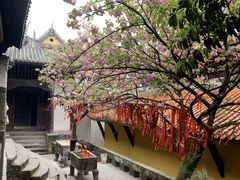 -涂山寺素食餐厅