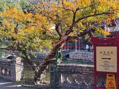 -华清宫景区