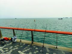 -深圳湾公园(南山区)
