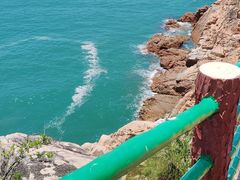 -广东惠东海龟国家级自然保护区